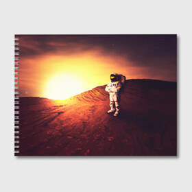 Альбом для рисования с принтом Марс , 100% бумага
 | матовая бумага, плотность 200 мг. | cosmonavt | galaxy | nasa | nebula | space | star | абстракция | астронавт | вселенная | галактика | звезда | звезды | космический | космонавт | наса | планеты | скафандр