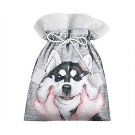 Подарочный 3D мешок с принтом Хаски , 100% полиэстер | Размер: 29*39 см | гладить собаку | животные | пёс | пёсики | серый фон | сибирский хаски | собаки | хаски
