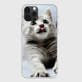 Чехол для iPhone 12 Pro Max с принтом серый котенок , Силикон |  | Тематика изображения на принте: grey kitten | kitten | котенок | милый котенок | серый котенок