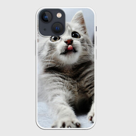 Чехол для iPhone 13 mini с принтом серый котенок ,  |  | grey kitten | kitten | котенок | милый котенок | серый котенок