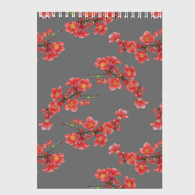 Скетчбук с принтом Цветы айвы на сером фоне , 100% бумага
 | 48 листов, плотность листов — 100 г/м2, плотность картонной обложки — 250 г/м2. Листы скреплены сверху удобной пружинной спиралью | Тематика изображения на принте: айва | весна | красный | лето | паттерн | подарок | природа | растения | романтика | серый | узор | цветы