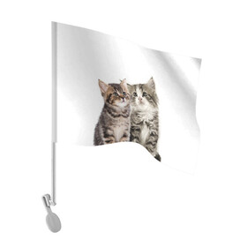 Флаг для автомобиля с принтом котята , 100% полиэстер | Размер: 30*21 см | cute kittens | kittens | котята | красивые котята | милые котята