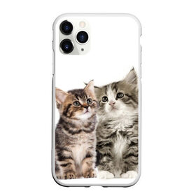 Чехол для iPhone 11 Pro Max матовый с принтом котята , Силикон |  | cute kittens | kittens | котята | красивые котята | милые котята