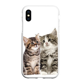 Чехол для iPhone XS Max матовый с принтом котята , Силикон | Область печати: задняя сторона чехла, без боковых панелей | cute kittens | kittens | котята | красивые котята | милые котята