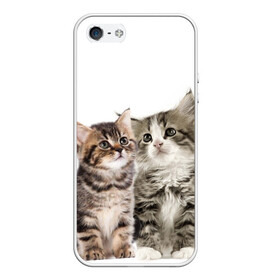 Чехол для iPhone 5/5S матовый с принтом котята , Силикон | Область печати: задняя сторона чехла, без боковых панелей | cute kittens | kittens | котята | красивые котята | милые котята