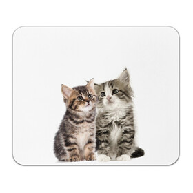 Коврик для мышки прямоугольный с принтом котята , натуральный каучук | размер 230 х 185 мм; запечатка лицевой стороны | cute kittens | kittens | котята | красивые котята | милые котята