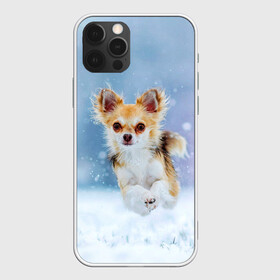 Чехол для iPhone 12 Pro Max с принтом Чихуахуа в снегу , Силикон |  | dog | животные | зима | пес | природа | снег | собака | собаки | собакчка | собачки | чихуа хуа | чихуахуа