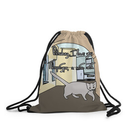 Рюкзак-мешок 3D с принтом Петербургский кот , 100% полиэстер | плотность ткани — 200 г/м2, размер — 35 х 45 см; лямки — толстые шнурки, застежка на шнуровке, без карманов и подкладки | кот | кошки | петербург | питерские дворы | романтика | санкт петербург | я люблю тебя