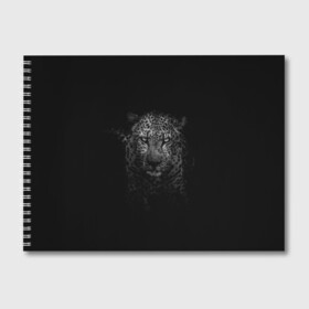 Альбом для рисования с принтом Ягуар выходит из тени , 100% бумага
 | матовая бумага, плотность 200 мг. | jaguar | барс | животное | зверь | кошка | черный | ягуар