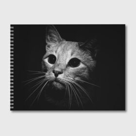 Альбом для рисования с принтом Чёрный кот , 100% бумага
 | матовая бумага, плотность 200 мг. | Тематика изображения на принте: животное | кот | кошка | тёмный рисунок | чёрный фон