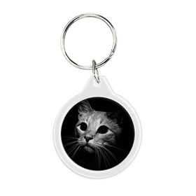 Брелок круглый с принтом Чёрный кот , пластик и полированная сталь | круглая форма, металлическое крепление в виде кольца | Тематика изображения на принте: животное | кот | кошка | тёмный рисунок | чёрный фон