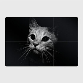Магнитный плакат 3Х2 с принтом Чёрный кот , Полимерный материал с магнитным слоем | 6 деталей размером 9*9 см | животное | кот | кошка | тёмный рисунок | чёрный фон
