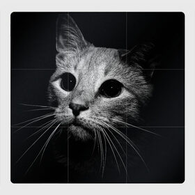 Магнитный плакат 3Х3 с принтом Чёрный кот , Полимерный материал с магнитным слоем | 9 деталей размером 9*9 см | Тематика изображения на принте: животное | кот | кошка | тёмный рисунок | чёрный фон