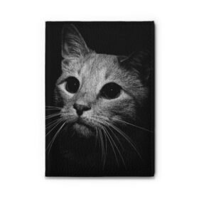 Обложка для автодокументов с принтом Чёрный кот , натуральная кожа |  размер 19,9*13 см; внутри 4 больших “конверта” для документов и один маленький отдел — туда идеально встанут права | Тематика изображения на принте: животное | кот | кошка | тёмный рисунок | чёрный фон