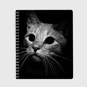 Тетрадь с принтом Чёрный кот , 100% бумага | 48 листов, плотность листов — 60 г/м2, плотность картонной обложки — 250 г/м2. Листы скреплены сбоку удобной пружинной спиралью. Уголки страниц и обложки скругленные. Цвет линий — светло-серый
 | Тематика изображения на принте: животное | кот | кошка | тёмный рисунок | чёрный фон