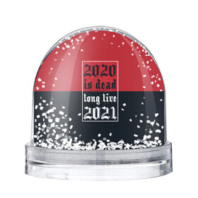 Снежный шар с принтом 2020 is Dead! Long Live 2021! , Пластик | Изображение внутри шара печатается на глянцевой фотобумаге с двух сторон | 