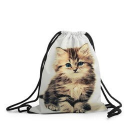Рюкзак-мешок 3D с принтом котёнок , 100% полиэстер | плотность ткани — 200 г/м2, размер — 35 х 45 см; лямки — толстые шнурки, застежка на шнуровке, без карманов и подкладки | cute kitten | kitten | котёнок | красивый котёнок | милый котёнок