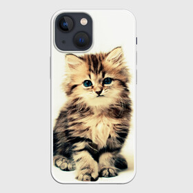 Чехол для iPhone 13 mini с принтом котёнок ,  |  | cute kitten | kitten | котёнок | красивый котёнок | милый котёнок
