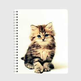 Тетрадь с принтом котёнок , 100% бумага | 48 листов, плотность листов — 60 г/м2, плотность картонной обложки — 250 г/м2. Листы скреплены сбоку удобной пружинной спиралью. Уголки страниц и обложки скругленные. Цвет линий — светло-серый
 | cute kitten | kitten | котёнок | красивый котёнок | милый котёнок