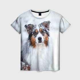 Женская футболка 3D с принтом Австралийская овчарка , 100% полиэфир ( синтетическое хлопкоподобное полотно) | прямой крой, круглый вырез горловины, длина до линии бедер | dog | австралийская | животные | овчарка | пес | природа | собака | собаки | собакчка | собачки
