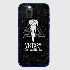 Чехол для iPhone 12 Pro с принтом Victory or Valhalla , силикон | область печати: задняя сторона чехла, без боковых панелей | вальхалла | викинг | ворон | символ | скандинавия | череп | язычество