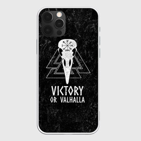 Чехол для iPhone 12 Pro Max с принтом Victory or Valhalla , Силикон |  | вальхалла | викинг | ворон | символ | скандинавия | череп | язычество
