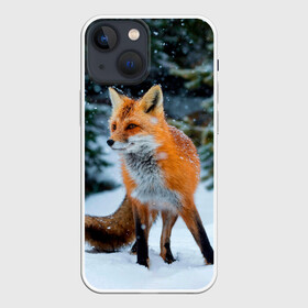 Чехол для iPhone 13 mini с принтом Лиса в зимнем лесу ,  |  | fox | foxy | в | животные | звери | зима | зимний | зимняя | лес | лиса | лисичка | лисы | природа | снег | снежная