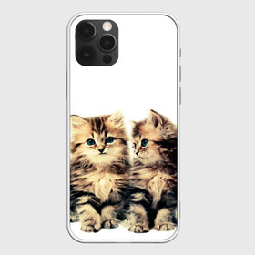 Чехол для iPhone 12 Pro Max с принтом котята , Силикон |  | cute kittens | kittens | котята | красивые котята | милые котята
