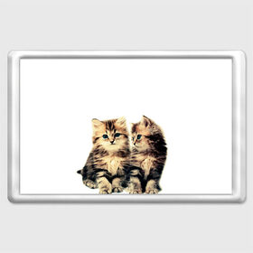 Магнит 45*70 с принтом котята , Пластик | Размер: 78*52 мм; Размер печати: 70*45 | cute kittens | kittens | котята | красивые котята | милые котята