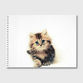 Альбом для рисования с принтом катёнок , 100% бумага
 | матовая бумага, плотность 200 мг. | cute kitten | kitten | котёнок | красивый котёнок | милый котёнок
