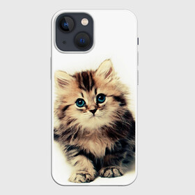 Чехол для iPhone 13 mini с принтом катёнок ,  |  | cute kitten | kitten | котёнок | красивый котёнок | милый котёнок