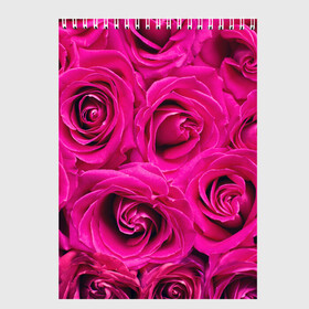 Скетчбук с принтом Розы , 100% бумага
 | 48 листов, плотность листов — 100 г/м2, плотность картонной обложки — 250 г/м2. Листы скреплены сверху удобной пружинной спиралью | абстрактно | абстрактные | абстрактный | абстракция | красные | роза | розовые | розы | цветок | цветочек | цветочки | цветочный | цветы