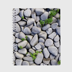 Тетрадь с принтом Камни , 100% бумага | 48 листов, плотность листов — 60 г/м2, плотность картонной обложки — 250 г/м2. Листы скреплены сбоку удобной пружинной спиралью. Уголки страниц и обложки скругленные. Цвет линий — светло-серый
 | абстрактно | абстрактные | абстрактный | абстракция | галька | каменные | каменный | камень | камни | камушки | клевер | природа | растения