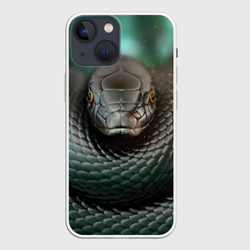 Чехол для iPhone 13 mini с принтом Чёрная мамба ,  |  | блеск | гад | змея | мамба | хладнокровный | чёрная | чешуя