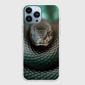 Чехол для iPhone 13 Pro Max с принтом Чёрная мамба ,  |  | блеск | гад | змея | мамба | хладнокровный | чёрная | чешуя