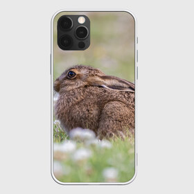 Чехол для iPhone 12 Pro Max с принтом Зайчонок , Силикон |  | Тематика изображения на принте: животное | животные | зайцы | зайчик | зайчики | зайчонок | заяц | звери | зверь | природа | природный