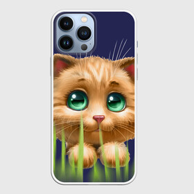 Чехол для iPhone 13 Pro Max с принтом зелёная трава ,  |  | Тематика изображения на принте: глазки | животные | котёнок | рыжий