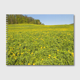 Альбом для рисования с принтом Поле одуванчиков , 100% бумага
 | матовая бумага, плотность 200 мг. | Тематика изображения на принте: одуванчики | одуванчиков | пейзаж | пейзажи | поле | поля | природа | природный | растение | растения | флора | цветок | цветы