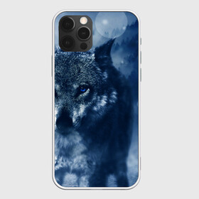 Чехол для iPhone 12 Pro с принтом Красивый волк , силикон | область печати: задняя сторона чехла, без боковых панелей | wolf | ауф | волк | волчонок | зима | синеглазый волк