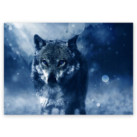 Поздравительная открытка с принтом Красивый волк , 100% бумага | плотность бумаги 280 г/м2, матовая, на обратной стороне линовка и место для марки
 | Тематика изображения на принте: wolf | ауф | волк | волчонок | зима | синеглазый волк