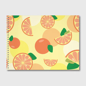 Альбом для рисования с принтом Апельсиновый летний узор , 100% бумага
 | матовая бумага, плотность 200 мг. | апельсин | апельсиновый | летний | оранжевый | паттерн | узор | фруктовый