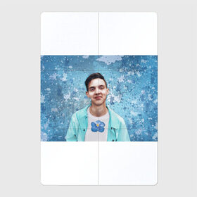 Магнитный плакат 2Х3 с принтом Тима и незабудка , Полимерный материал с магнитным слоем | 6 деталей размером 9*9 см | артист | любимый цветок | незабудка | певец | тима белорусских