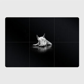Магнитный плакат 3Х2 с принтом Puppy , Полимерный материал с магнитным слоем | 6 деталей размером 9*9 см | bull terrier | dog | ears | eyes | muzzle | nose | paws | puppy | бультерьер | глаза | лапы | нос | уши | щенок