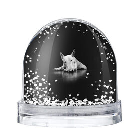 Снежный шар с принтом Puppy , Пластик | Изображение внутри шара печатается на глянцевой фотобумаге с двух сторон | bull terrier | dog | ears | eyes | muzzle | nose | paws | puppy | бультерьер | глаза | лапы | нос | уши | щенок