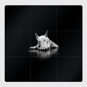 Магнитный плакат 3Х3 с принтом Puppy , Полимерный материал с магнитным слоем | 9 деталей размером 9*9 см | bull terrier | dog | ears | eyes | muzzle | nose | paws | puppy | бультерьер | глаза | лапы | нос | уши | щенок