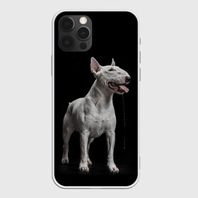 Чехол для iPhone 12 Pro Max с принтом Bully , Силикон |  | bull terrier | dog | ears | eyes | fangs | jaw | muzzle | paws | saliva | tongue | бультерьер | глаза | клыки | лапы | нос | пасть | слюна | собака | уши | язык