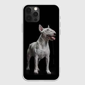 Чехол для iPhone 12 Pro Max с принтом Bully , Силикон |  | Тематика изображения на принте: bull terrier | dog | ears | eyes | fangs | jaw | muzzle | paws | saliva | tongue | бультерьер | глаза | клыки | лапы | нос | пасть | слюна | собака | уши | язык