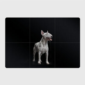Магнитный плакат 3Х2 с принтом Bully , Полимерный материал с магнитным слоем | 6 деталей размером 9*9 см | bull terrier | dog | ears | eyes | fangs | jaw | muzzle | paws | saliva | tongue | бультерьер | глаза | клыки | лапы | нос | пасть | слюна | собака | уши | язык