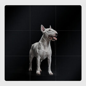 Магнитный плакат 3Х3 с принтом Bully , Полимерный материал с магнитным слоем | 9 деталей размером 9*9 см | Тематика изображения на принте: bull terrier | dog | ears | eyes | fangs | jaw | muzzle | paws | saliva | tongue | бультерьер | глаза | клыки | лапы | нос | пасть | слюна | собака | уши | язык