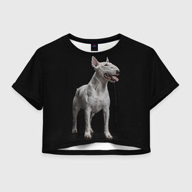 Женская футболка Crop-top 3D с принтом Bully , 100% полиэстер | круглая горловина, длина футболки до линии талии, рукава с отворотами | bull terrier | dog | ears | eyes | fangs | jaw | muzzle | paws | saliva | tongue | бультерьер | глаза | клыки | лапы | нос | пасть | слюна | собака | уши | язык
